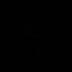 Meet your Posher, Lowrider